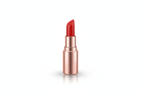 lipstick icon white bg